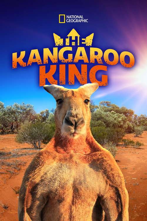 The Kangaroo King poster