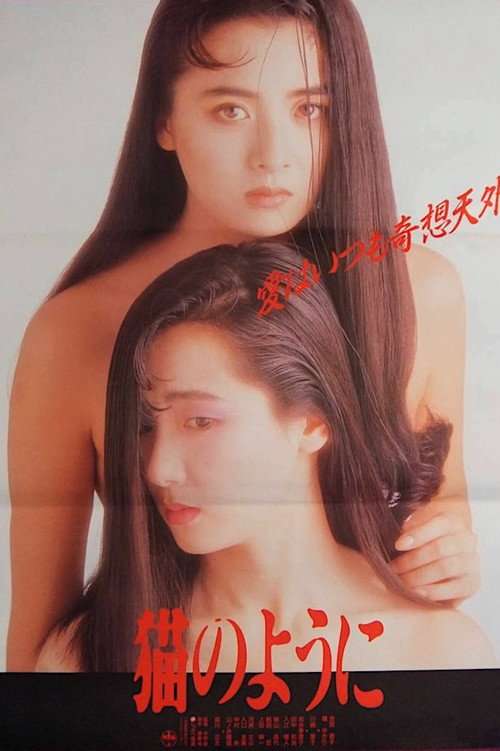 Neko no youni poster