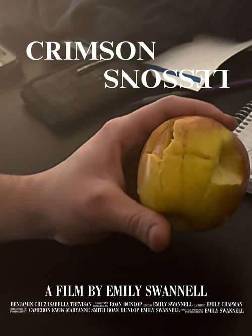 Crimson Lessons poster