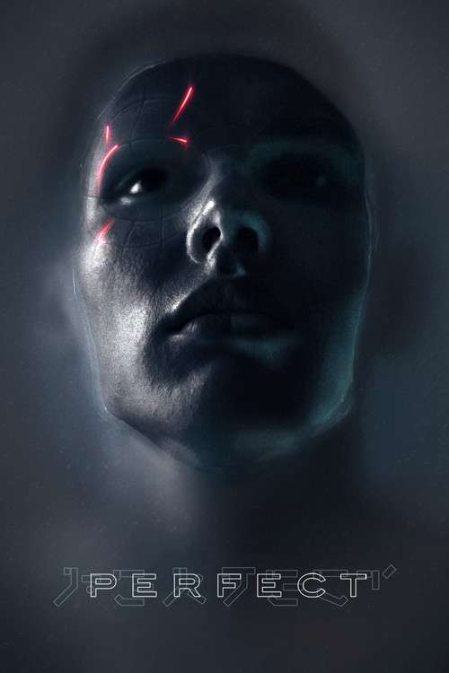 Perfect poster