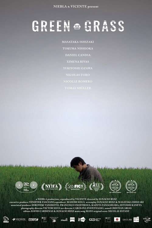 Green Grass poster