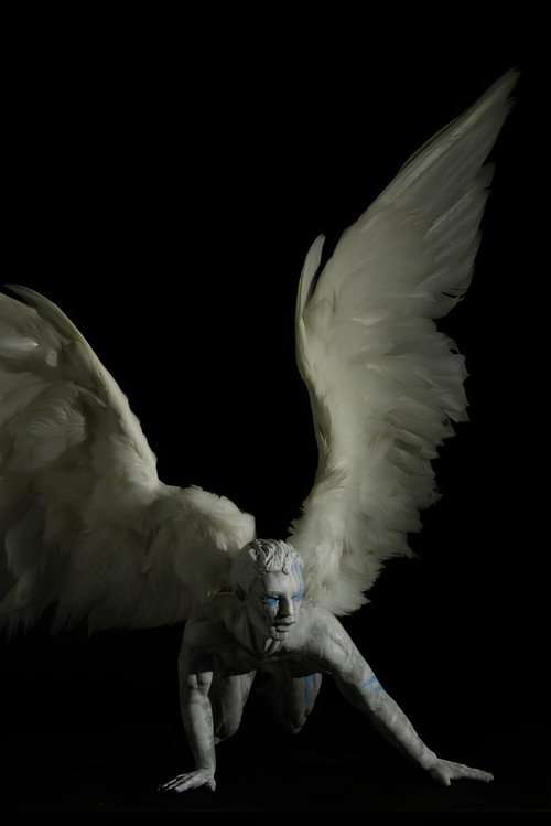 Plume poster