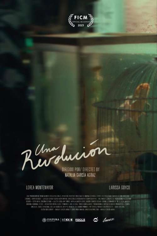 A Revolution poster