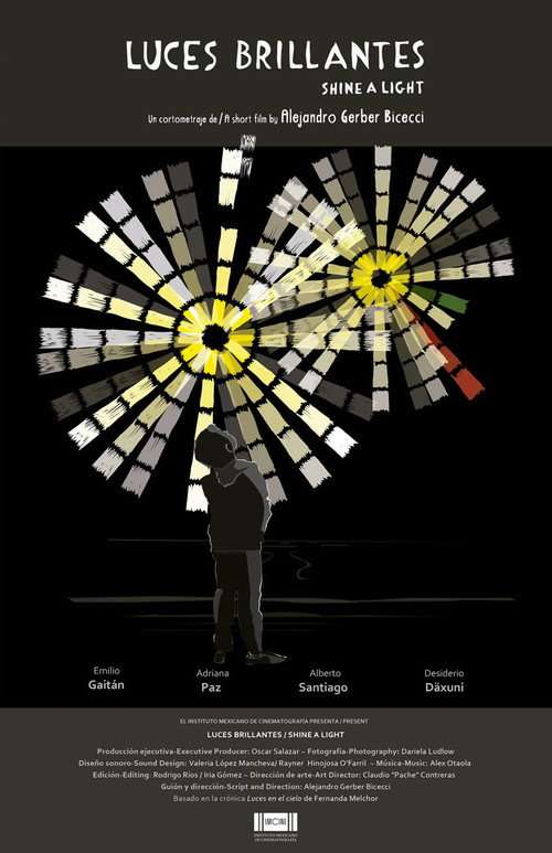 Shine a Light poster