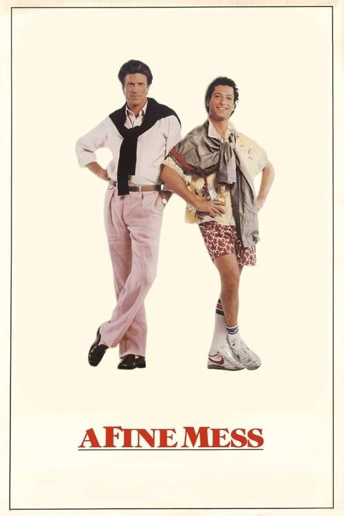 A Fine Mess poster