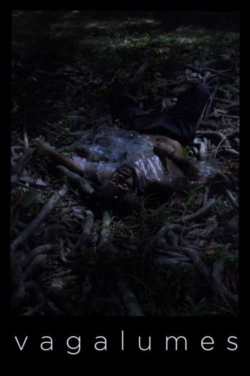 Fireflies poster