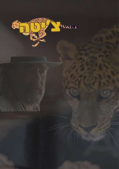 Cheetah poster