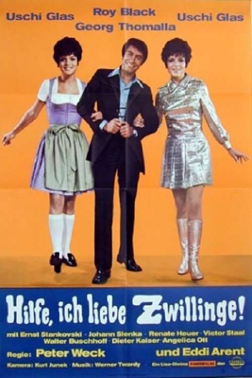 Hilfe, ich liebe Zwillinge! poster