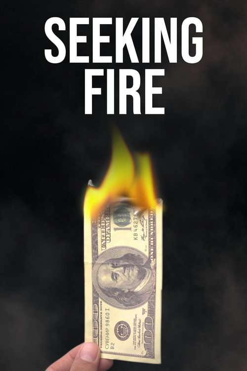 Seeking Fire poster