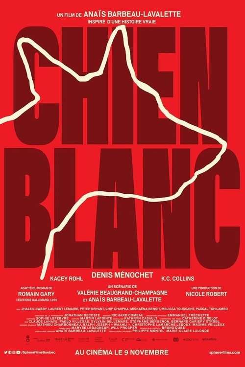 White Dog poster