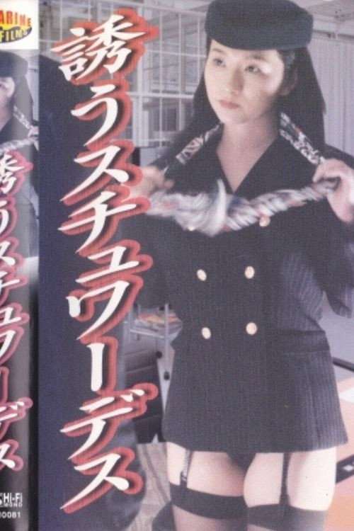 Stewardess Sanctuary: Ecstasy Day and Night poster