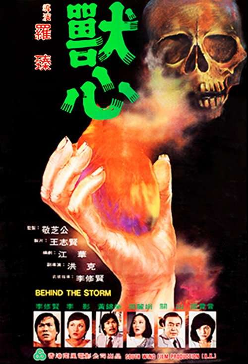 Behind the Storm poster