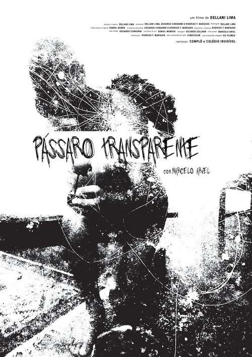 Pássaro Transparente poster