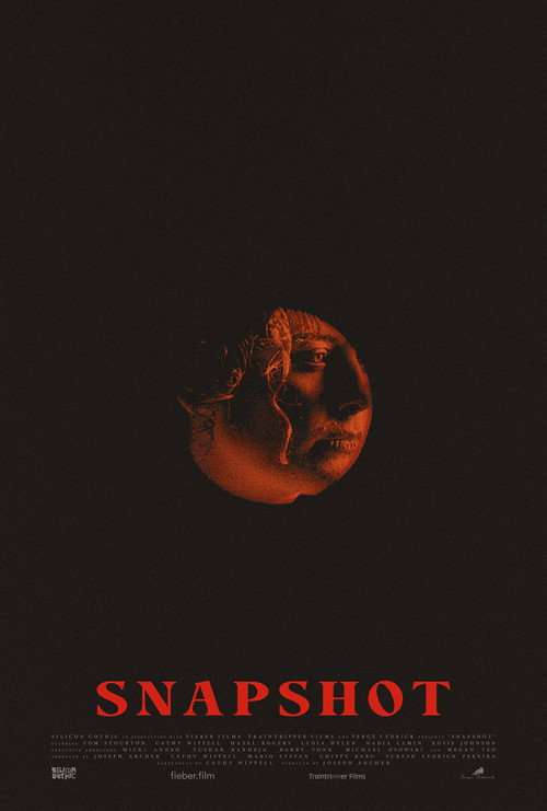 Snapshot poster
