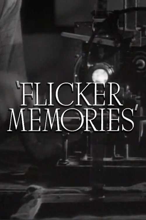 Flicker Memories poster