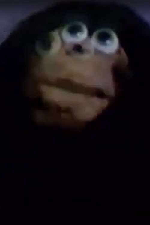 Frog Prince poster