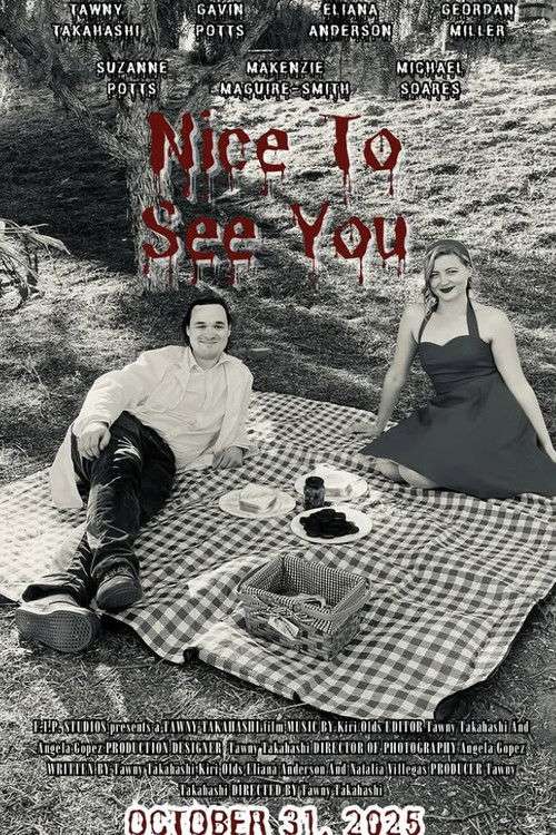 Nice to See You poster