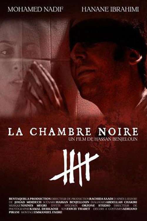 The Dark Room poster