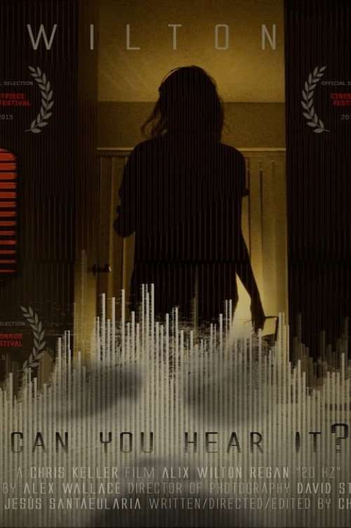 20 Hz poster
