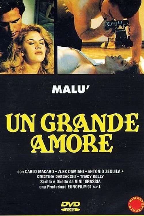 A Great Love poster