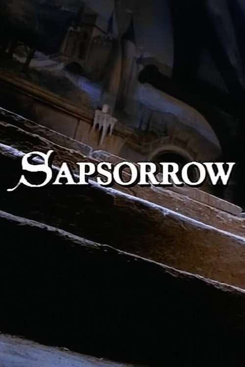 The Storyteller: Sapsorrow poster