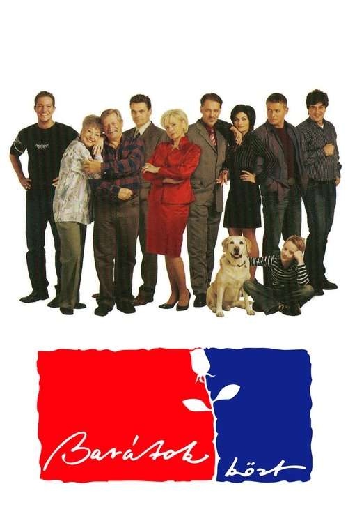 Among Friends poster