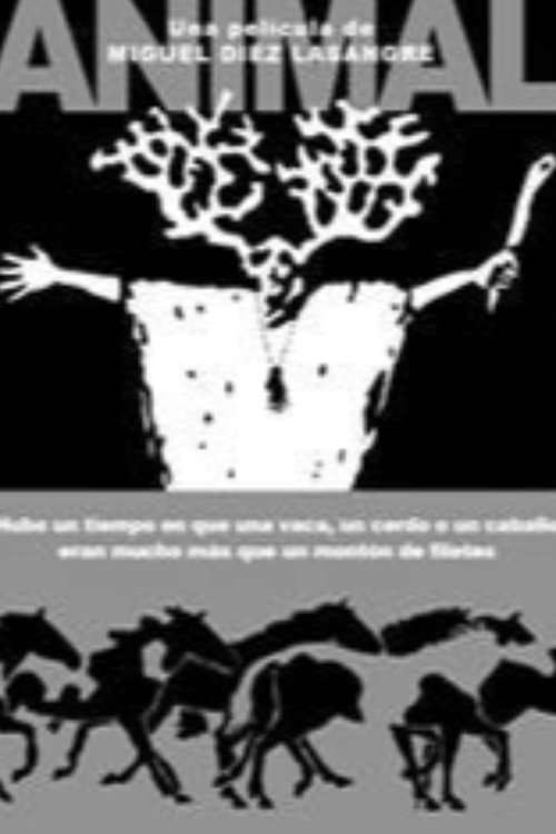 Animal poster
