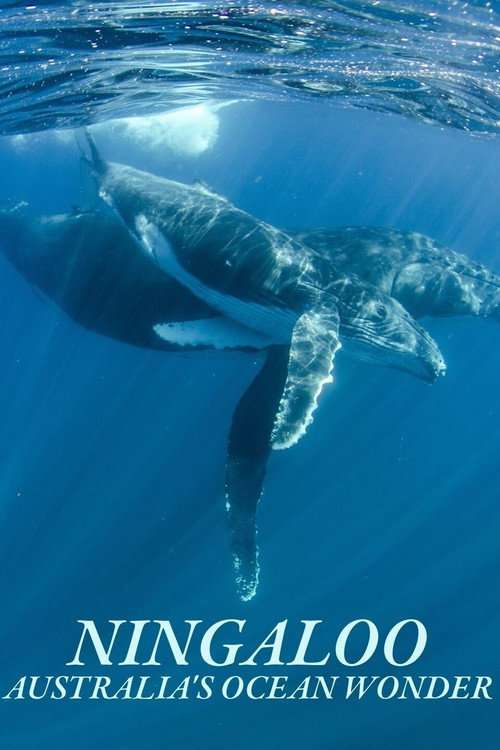 Ningaloo Nyinggulu poster
