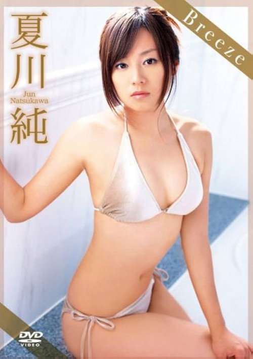 夏川純 Breeze poster