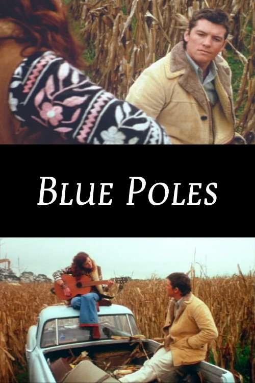 Blue Poles poster