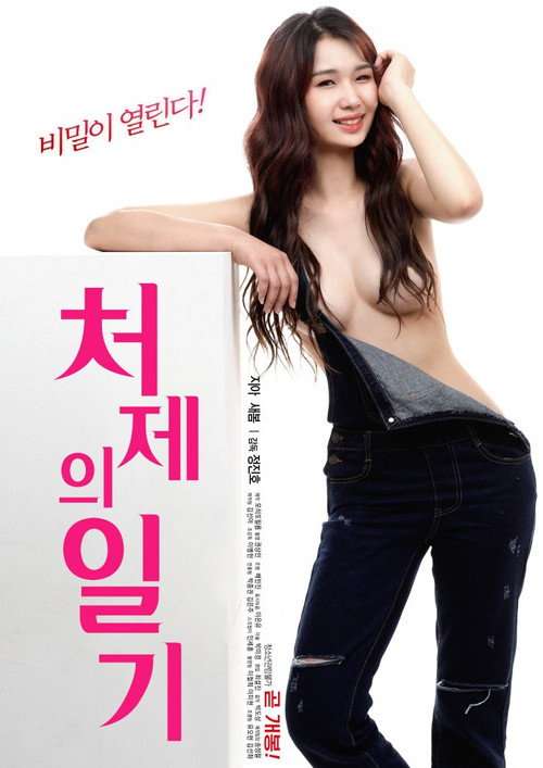 Sister-In-Law's Diary poster