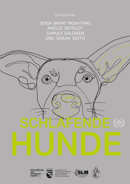 Schlafende Hunde poster