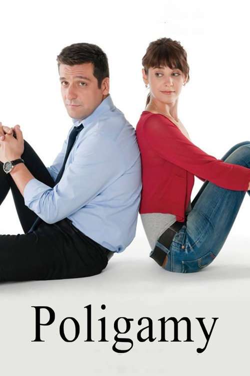 Poligamy poster