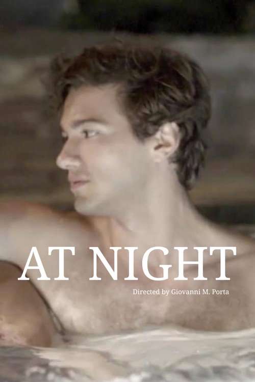 At Night poster