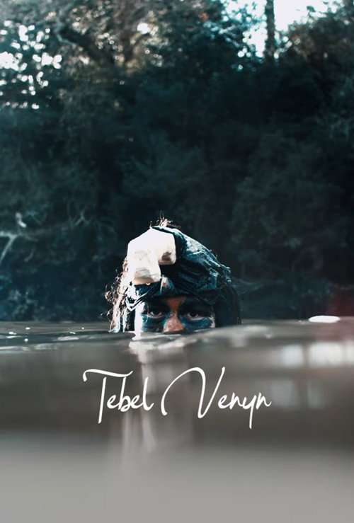 Tebel Venyn poster