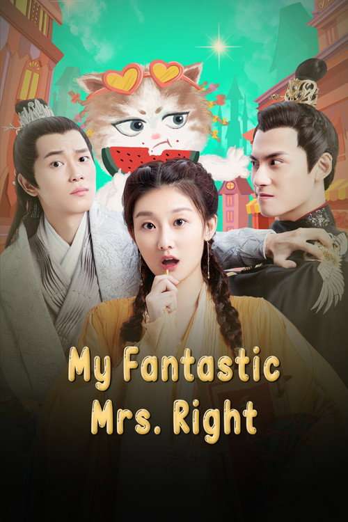 My Fantastic Mrs Right poster