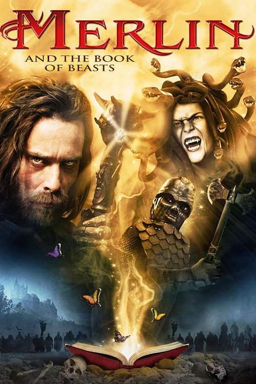 Merlin and the Book of Beasts poster