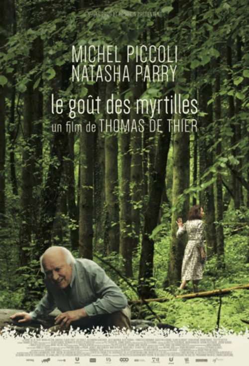 The Taste of Blueberries poster