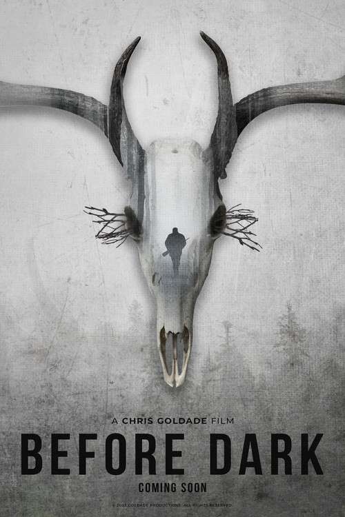 Before Dark poster