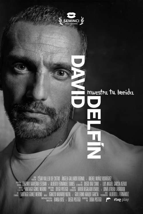 David Delfín, muestra tu herida poster