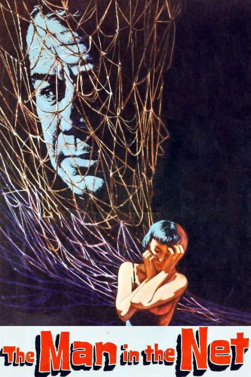The Man in the Net poster