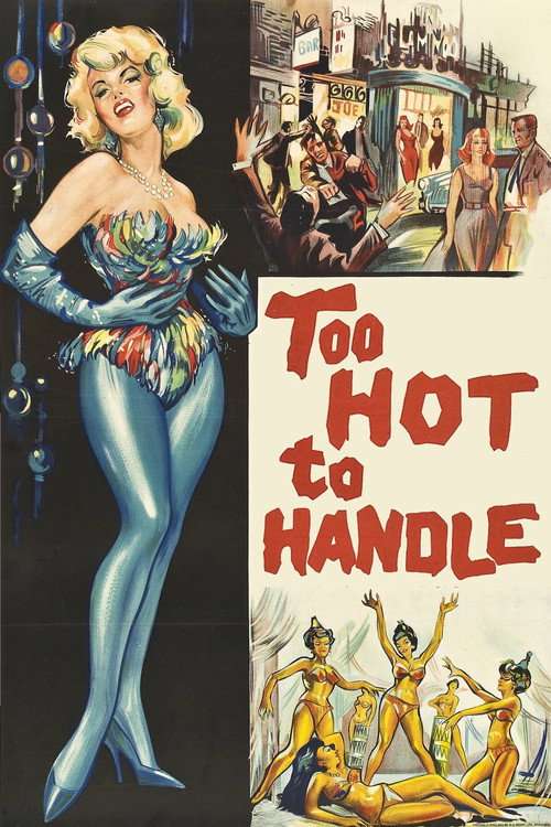 Too Hot to Handle poster