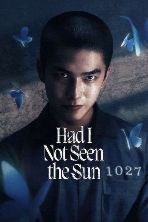 Had I Not Seen the Sun poster
