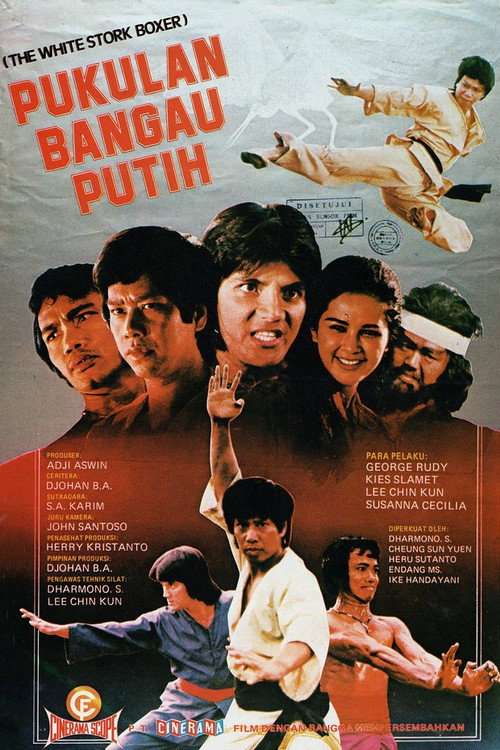 The Fierce Boxer poster