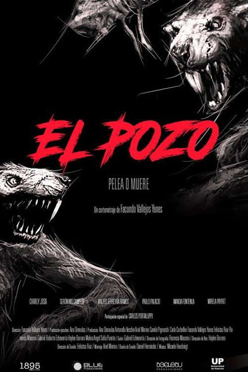 El pozo poster