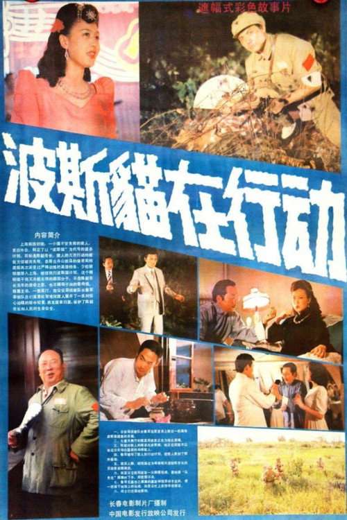 Persian Cat Is on Action poster