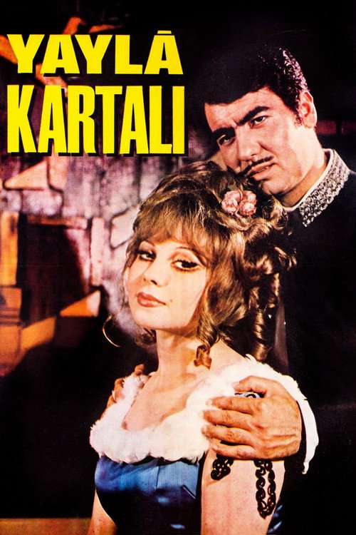 Yayla Kartalı poster