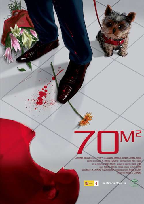 70m2 poster