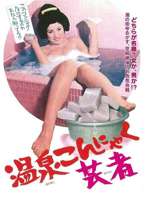 The Revelation of a Geisha poster