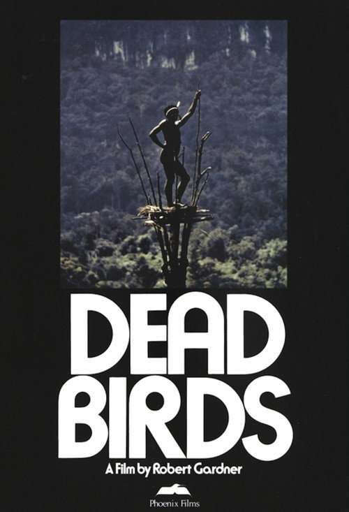 Dead Birds poster